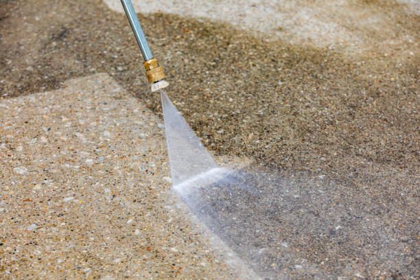 Best Soft Washing for Delicate Surfaces in Elmwood, IL